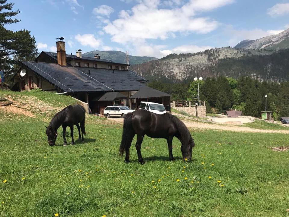 Hotel Snjezna Kuca - Nature Park Of Bosnia Herzegovina Mostar Kültér fotó