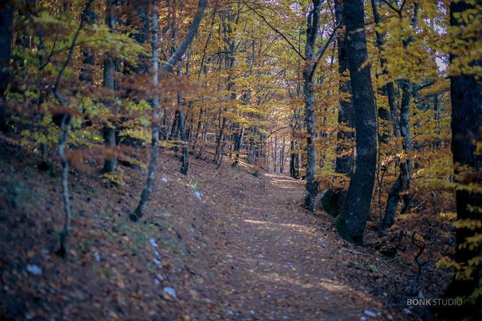 Hotel Snjezna Kuca - Nature Park Of Bosnia Herzegovina Mostar Kültér fotó