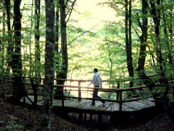 Hotel Snjezna Kuca - Nature Park Of Bosnia Herzegovina Mostar Kültér fotó